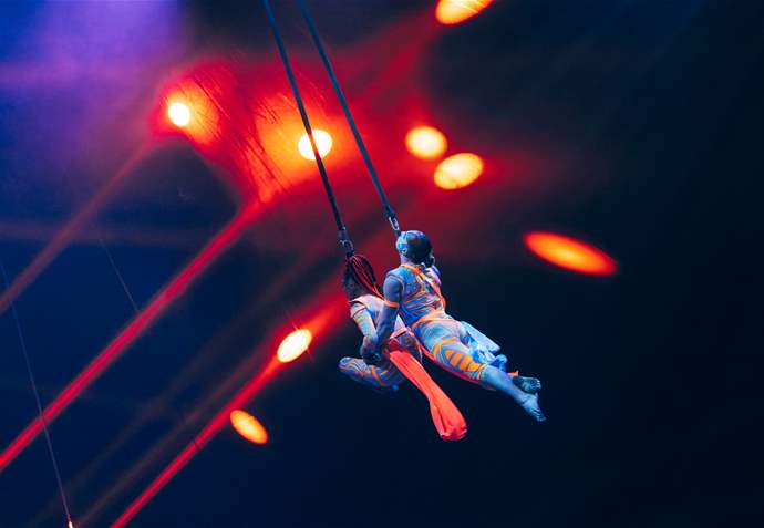 CIRCUS SHOWS